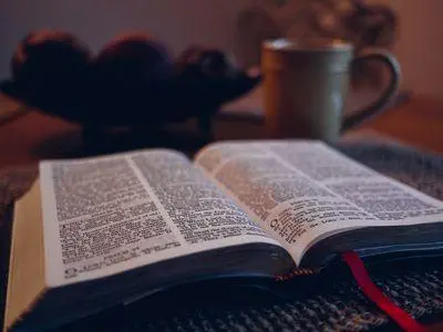 primary pixBible400x300 pex.jpg